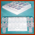 PVC Animal Cell Meiosis Model 10 PCS for Science Supplies